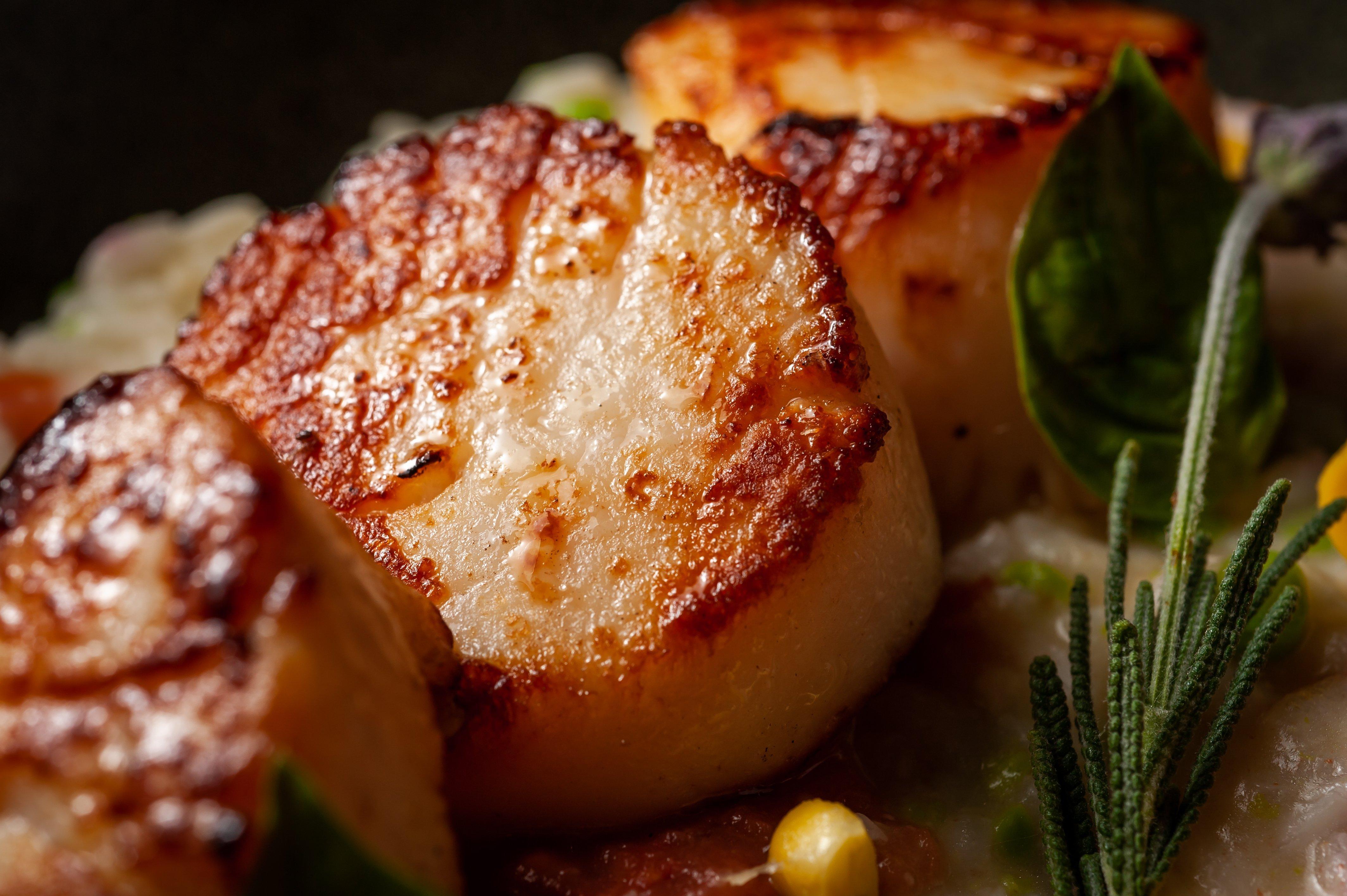 Kimpton Epic Hotel By Ihg Маямі Екстер'єр фото Pan-seared scallops